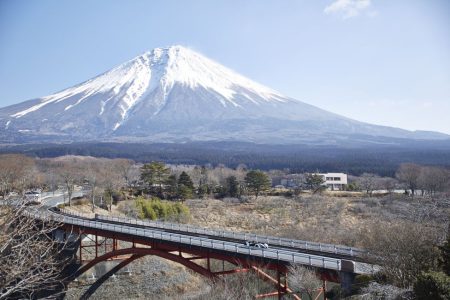 Phiaro P75 Concept Cypher