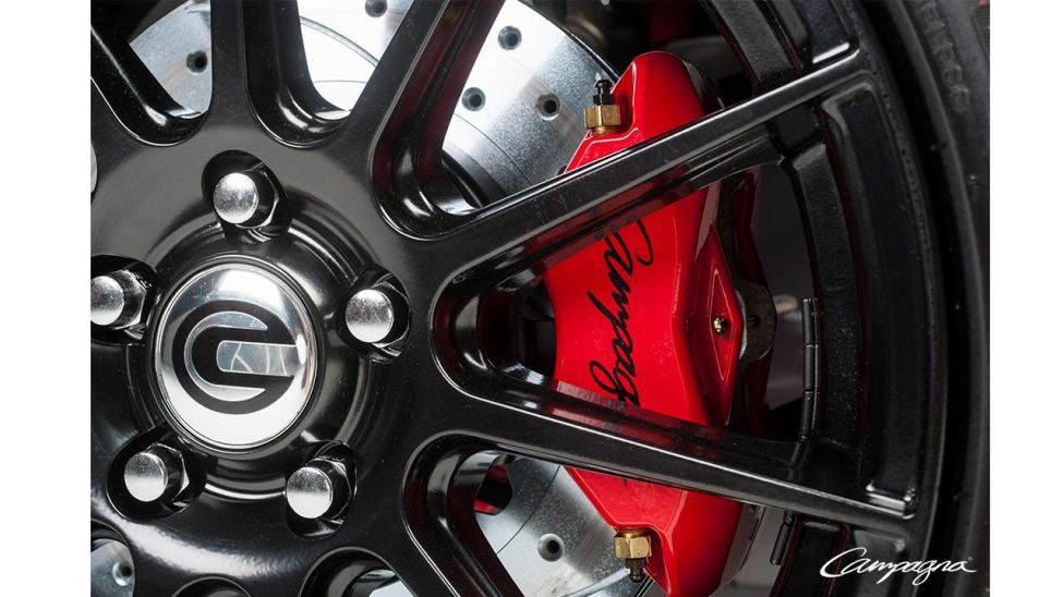 Campagna T-Rex 20 Aniversario