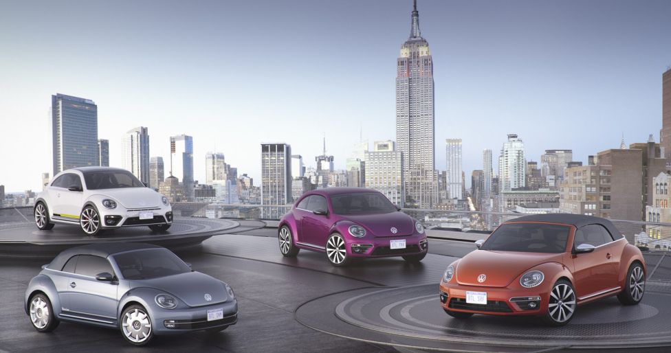 Beetle Concepts NY